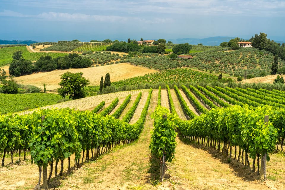 Rural landscape along the road from Certaldo to Gambassi Terme