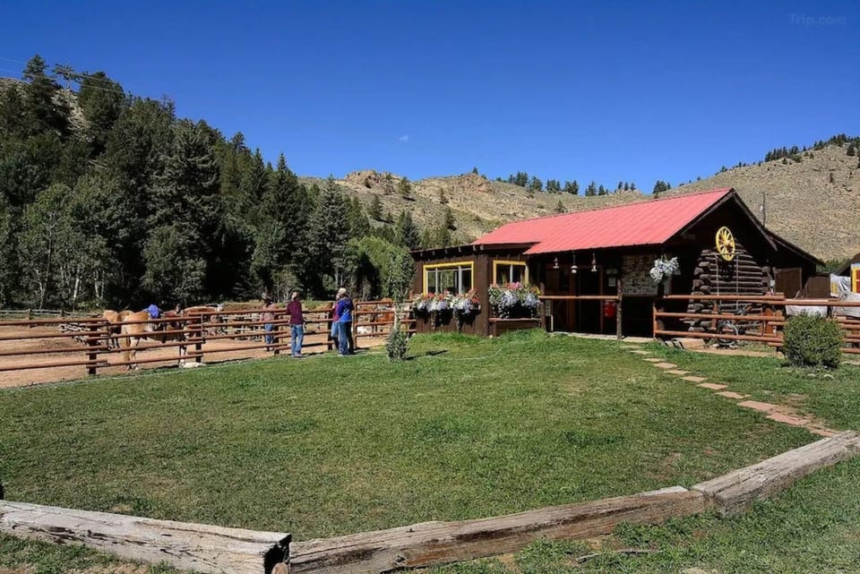 Unwind at the cozy lodge framed by alpine views.