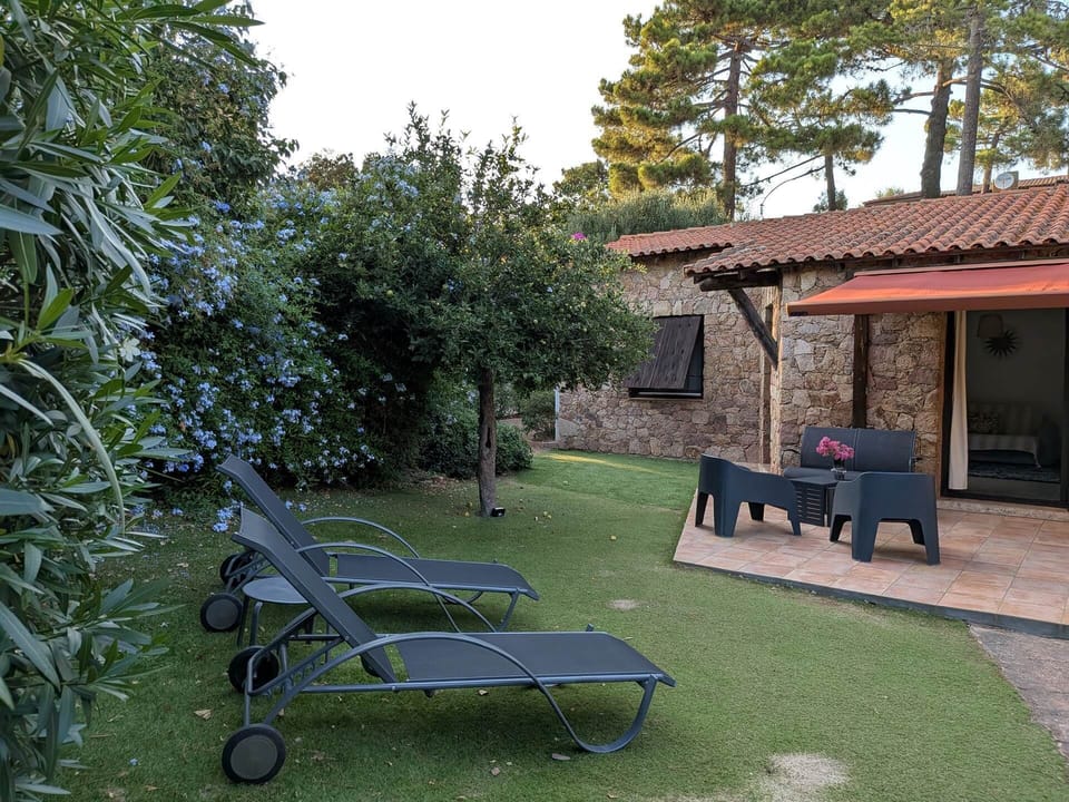 maison_laurier_jardin