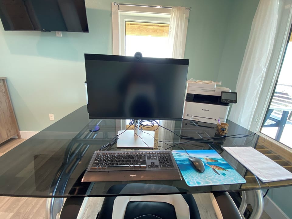 Office/Bedroom Monitor & Printer