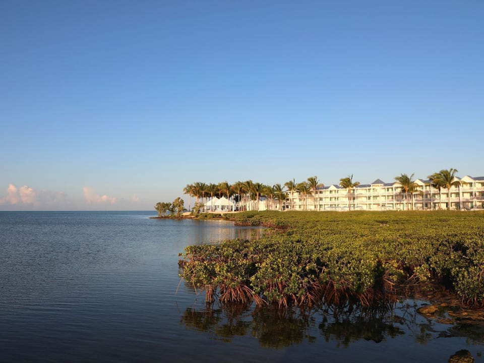 Expansive waterfront views surrounded by lush greenery, perfect for a tranquil escape into nature.