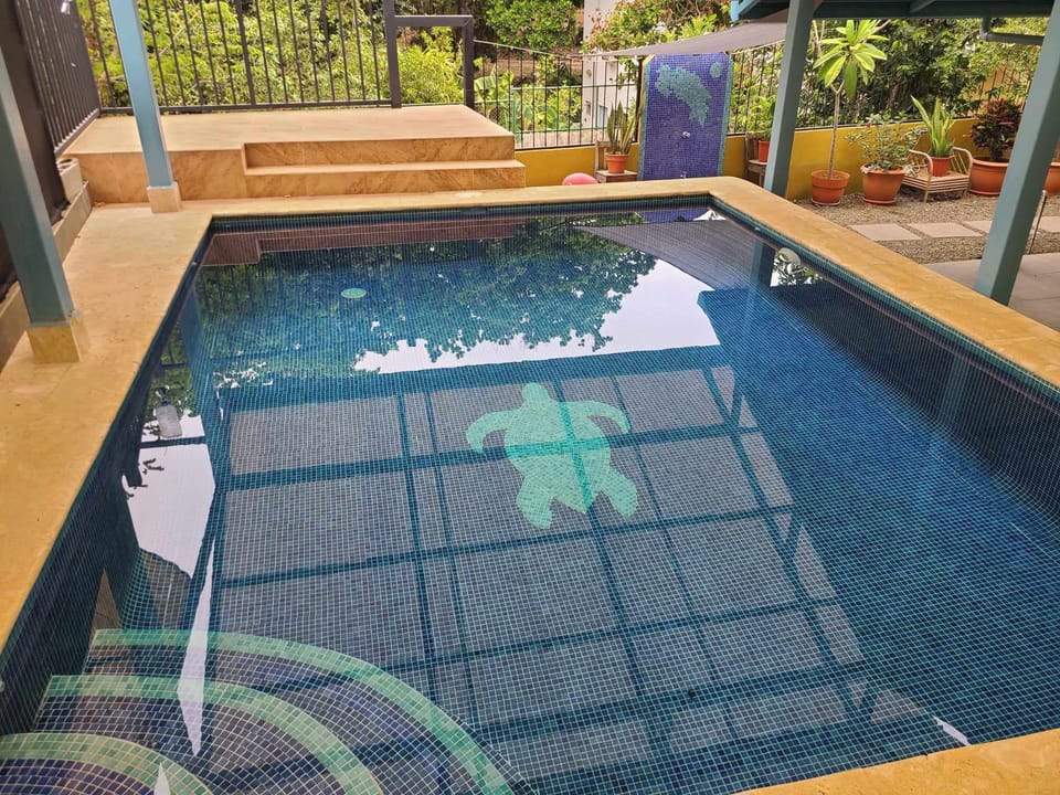 covered salt pool 
