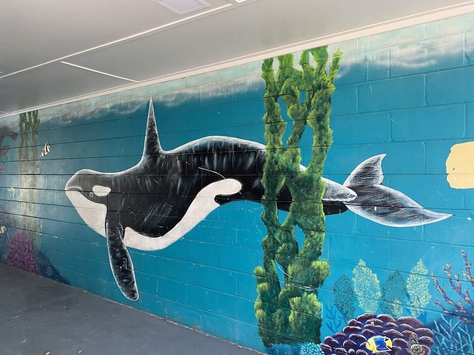 Stroll past playful coastal murals on your way to amenities.