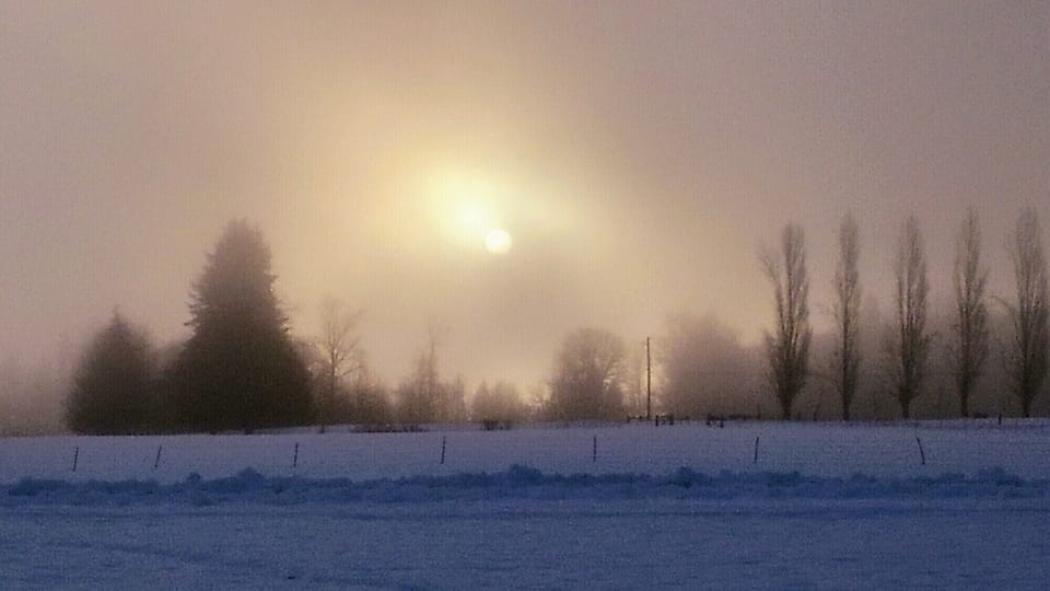 Mystical sunrise on a frosty morning