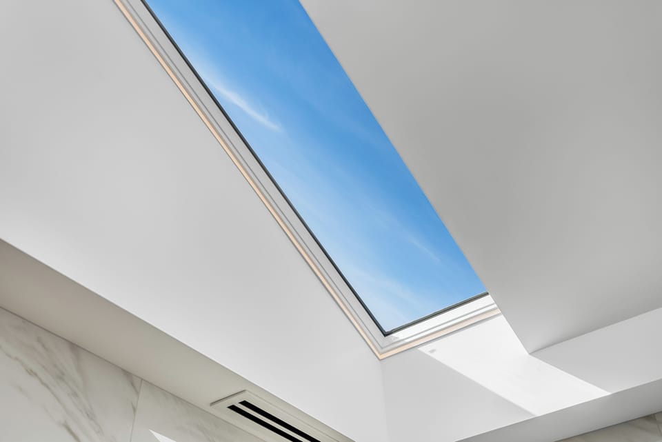 Bask in Sunlight from Above