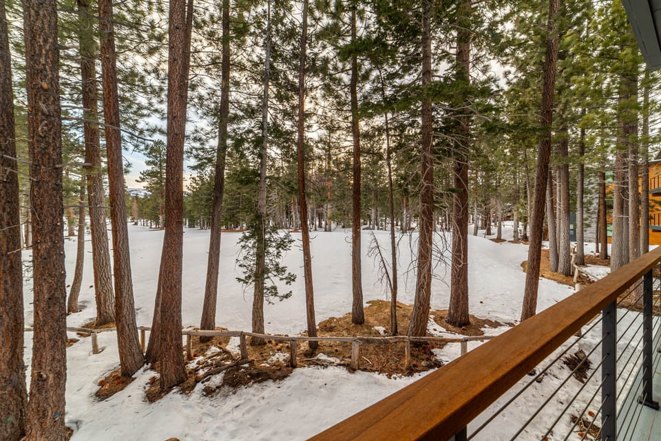 Views from deck, surrounded by pine trees (winter).