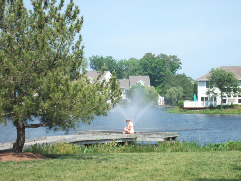 Sea Colony West - Cypress Lake Fountain - A peaceful view of the community's central pond, featuring a large tiered fountain and a private fishing pier. The lush green lawn and mature trees create a serene backdrop for the surrounding vacation homes.