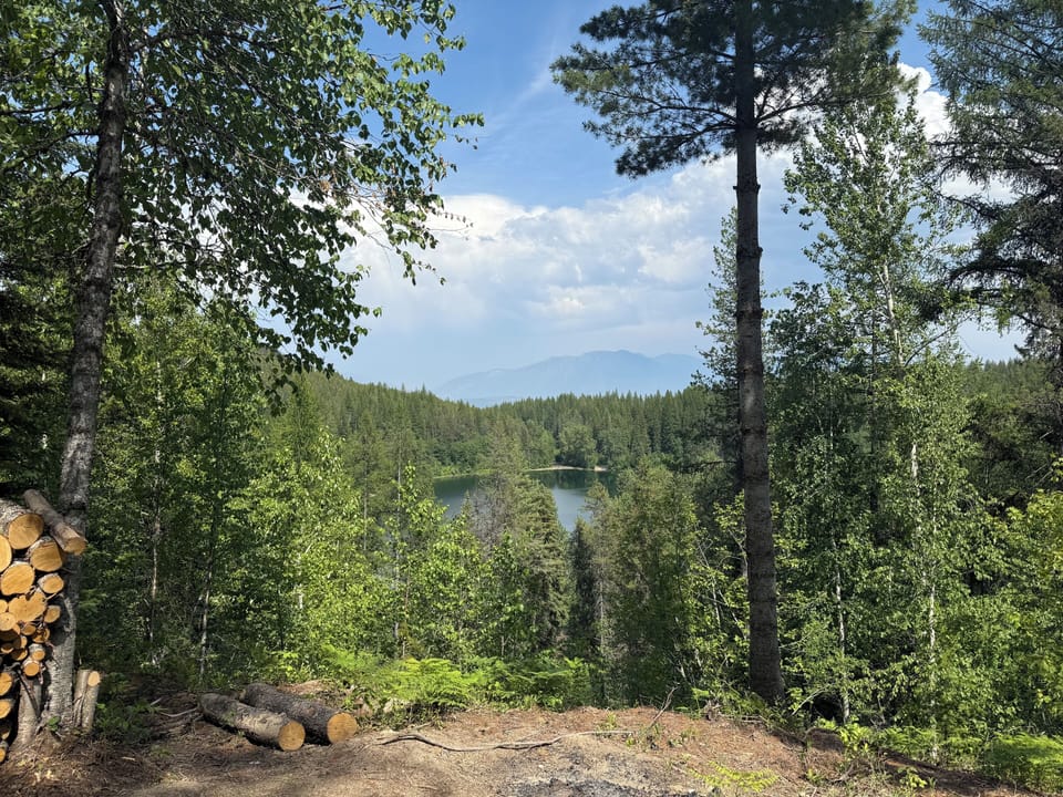 IMG 0691