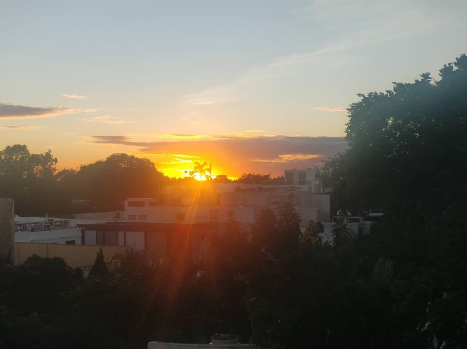 Sunset views
