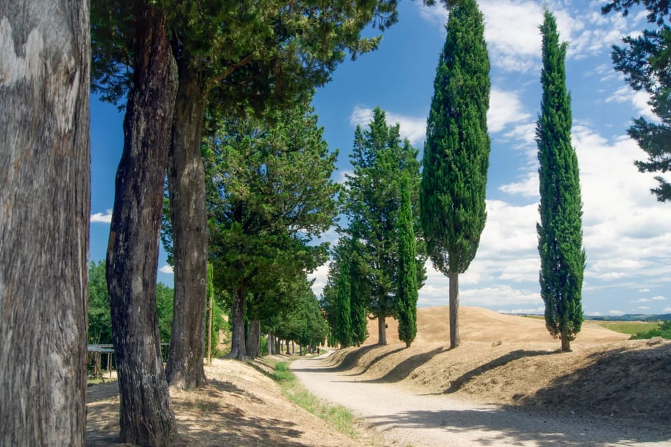 The Park "La Canonica" in Certaldo, near Gambassi Terme