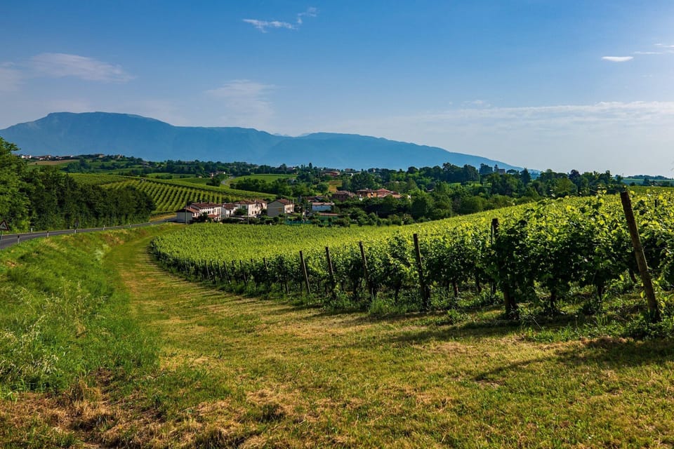 Surroundings [summer] (1-5 km)