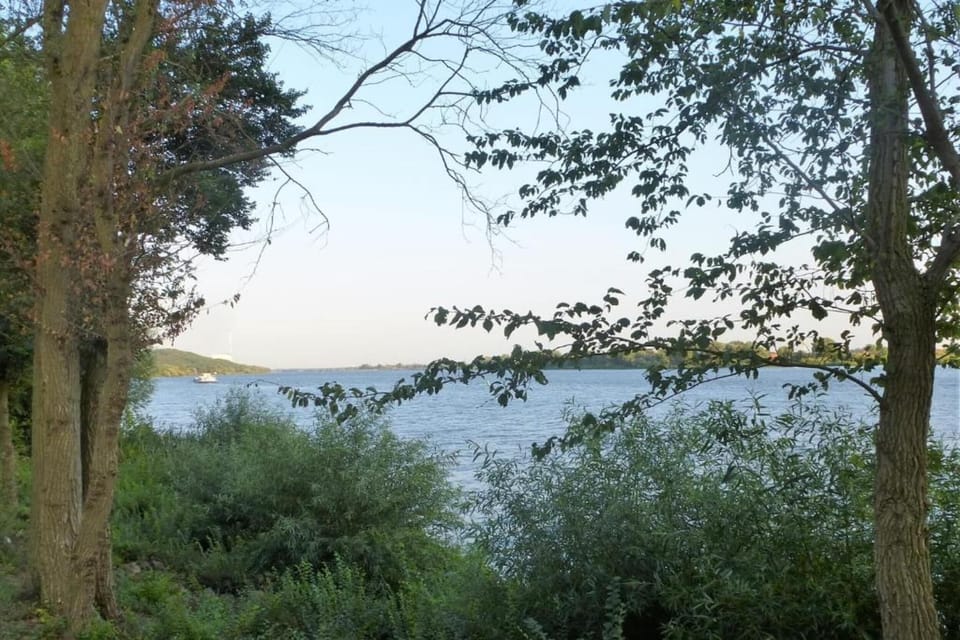 Region [summer] (>5 km)