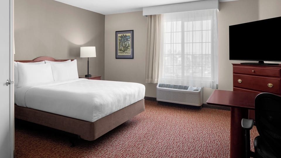 Settle into a bright bedroom with TV and peaceful daylight.