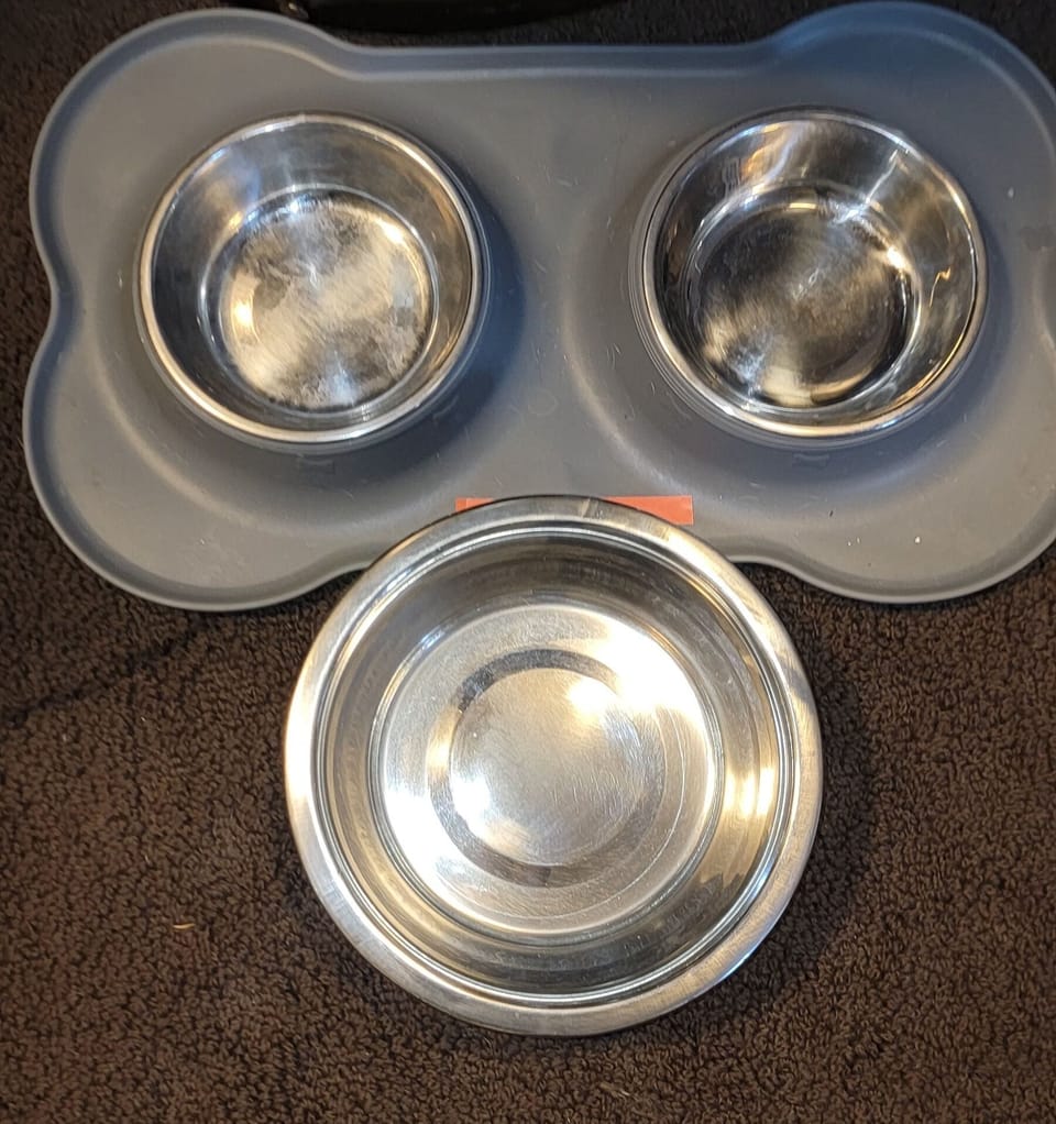 Dog Dishes