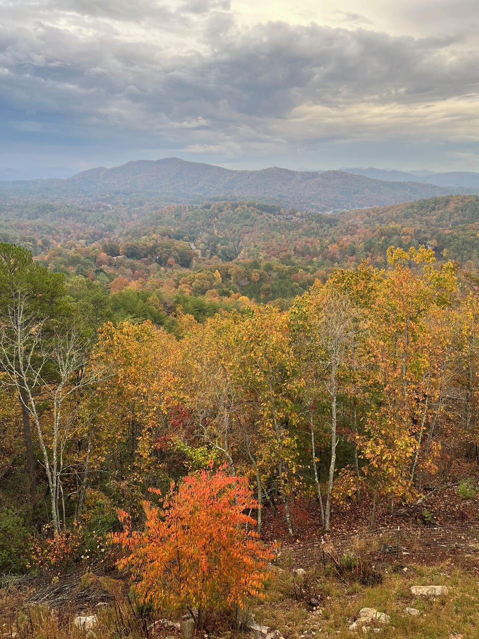 Beginning of Fall color from the deck