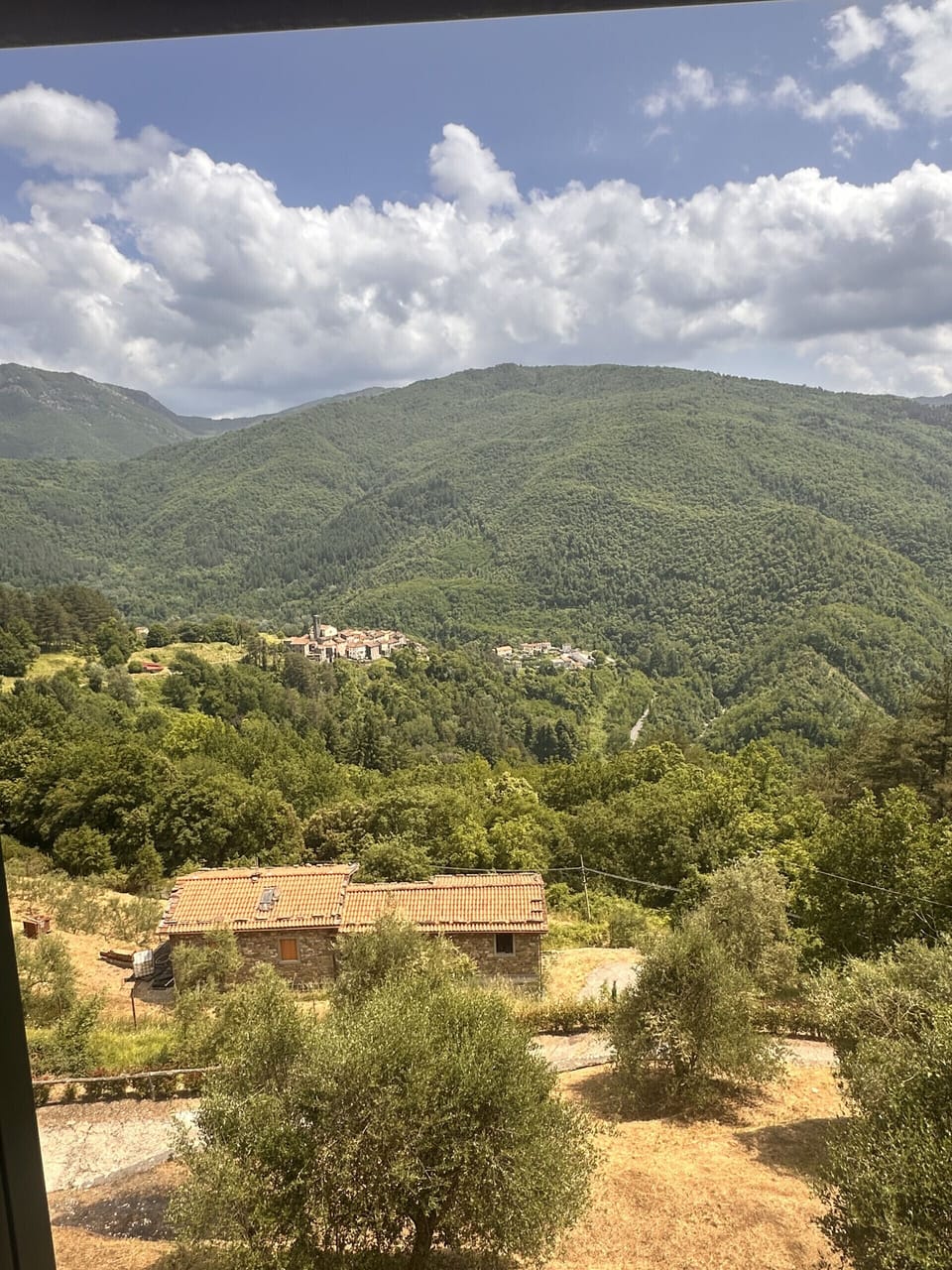 View from property