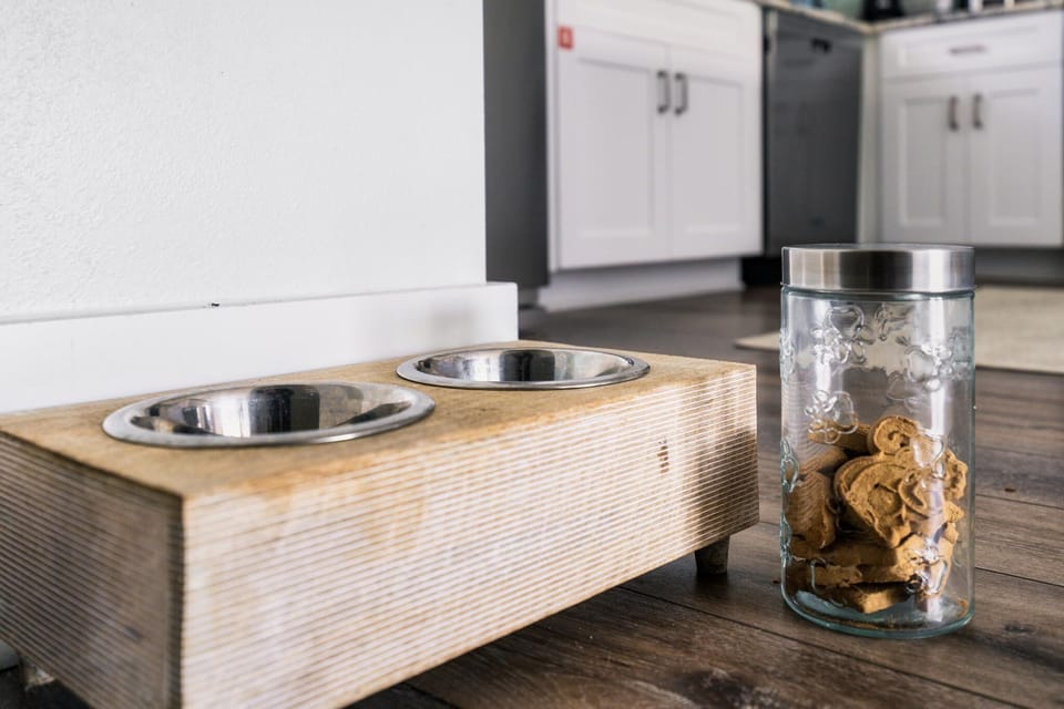 Enjoy your beach getaway with your pets as the Bungalows are Dog-Friendly!