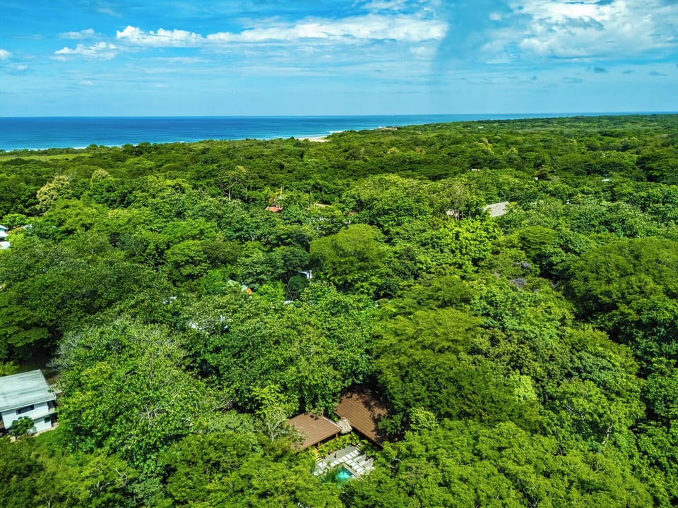 Tucked into a lush jungle setting just minutes from the beach