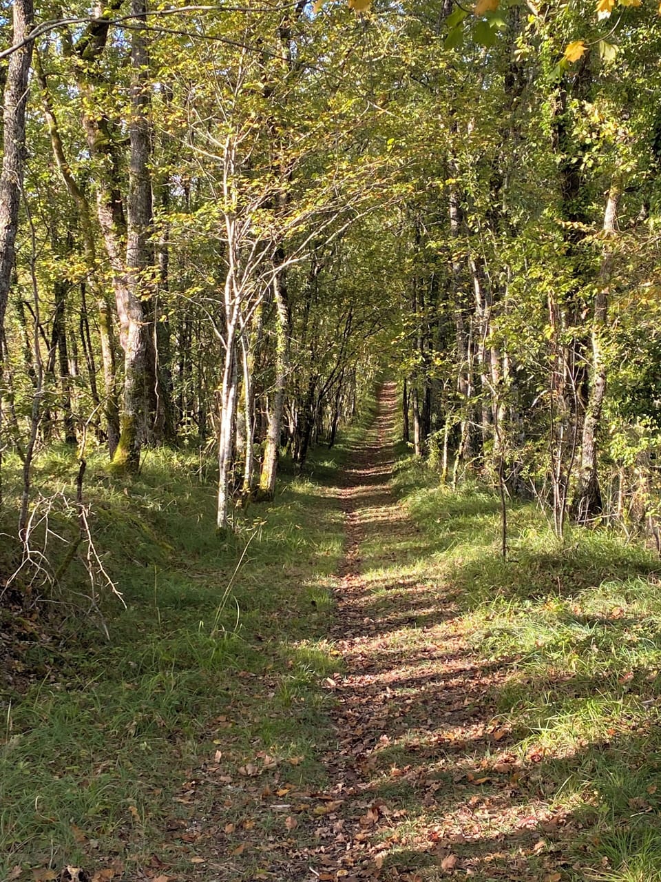Local walkway