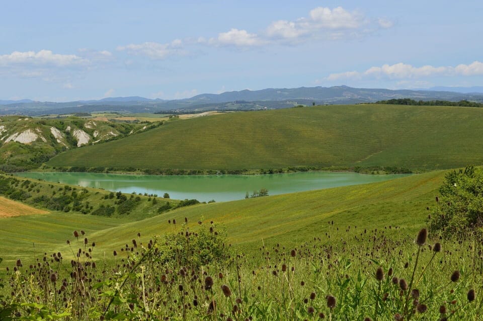 Green, Natural Environment, Natural Landscape, Grassland, Ecoregion, Hill, Highland, Plain, Bank, Steppe