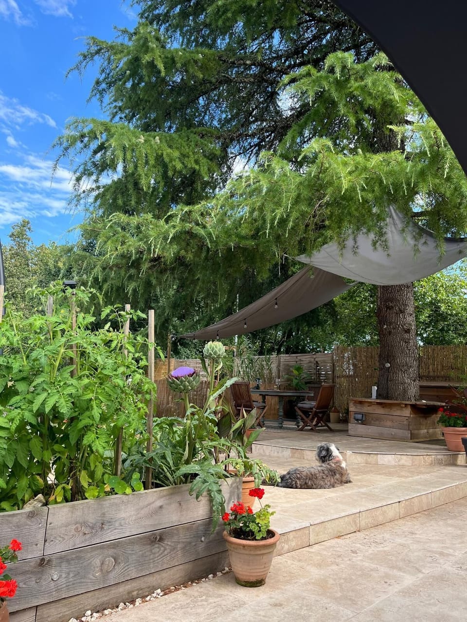 Outdoor dining