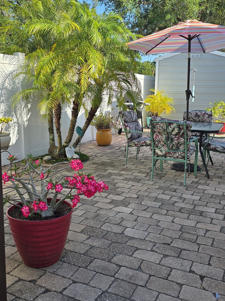 Spacious rear patio with grill and eating area (Private)


