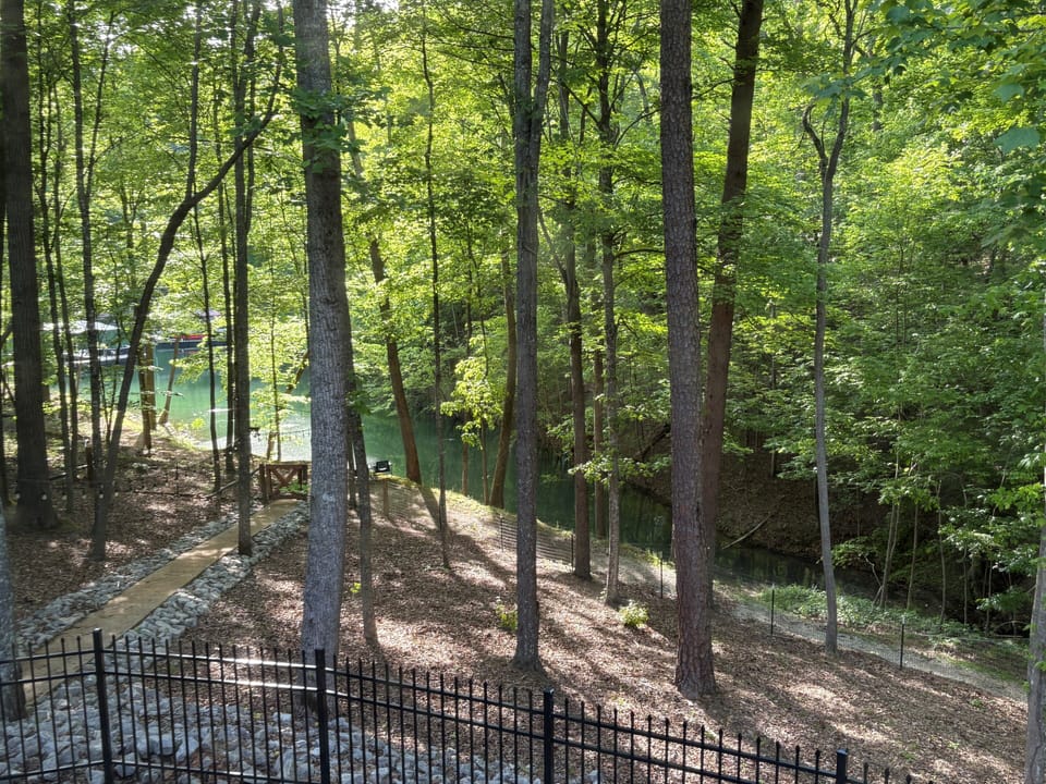 View from the back patio down to the water during the summer