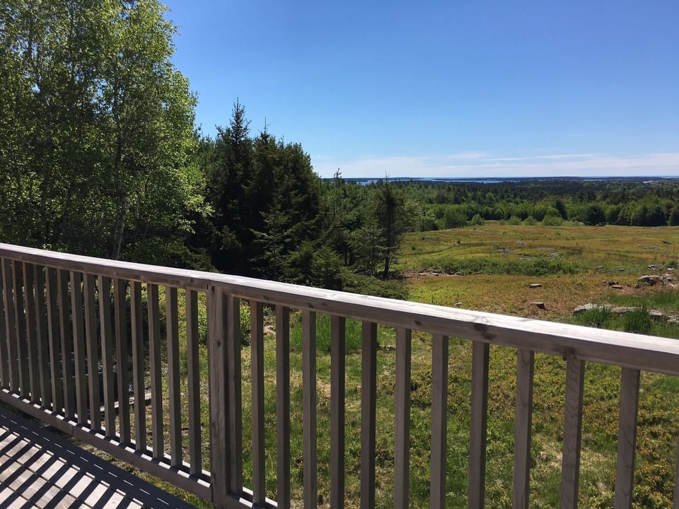 View from back deck