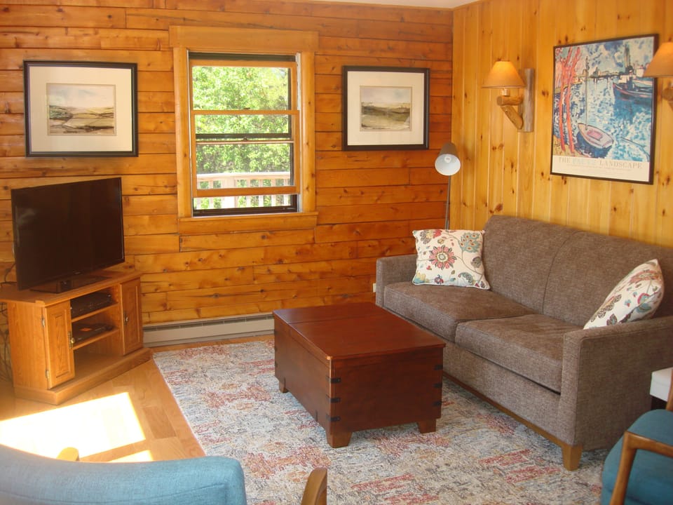 Sleeper couch