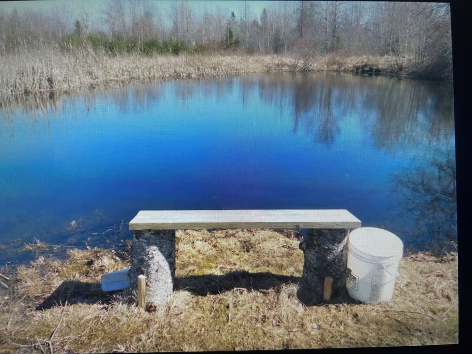 Along walking trails
