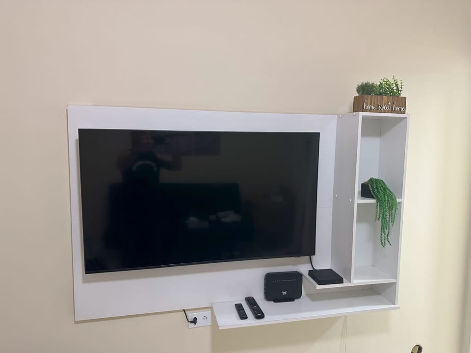 Television