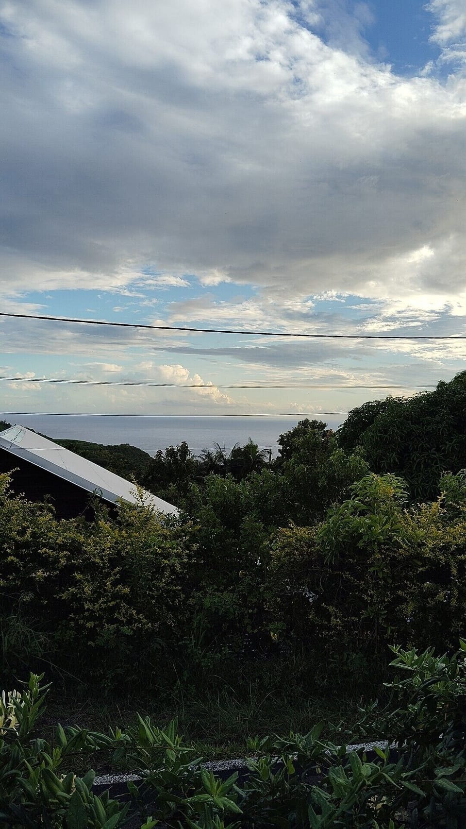 View from property