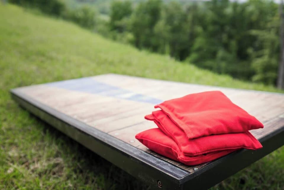 Cornhole boards set up on the back lawn
