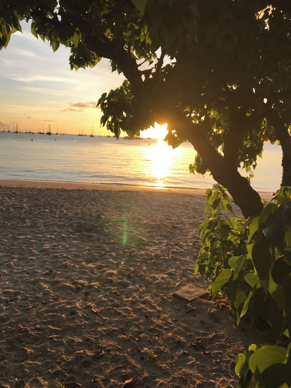 Beach