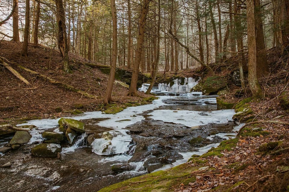 Multiple streams surround the casita 