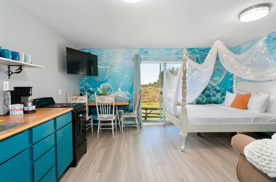 Open, airy studio with ocean vibes and peaceful views