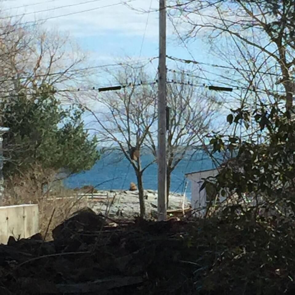View from the back deck...zoomed in a bit.