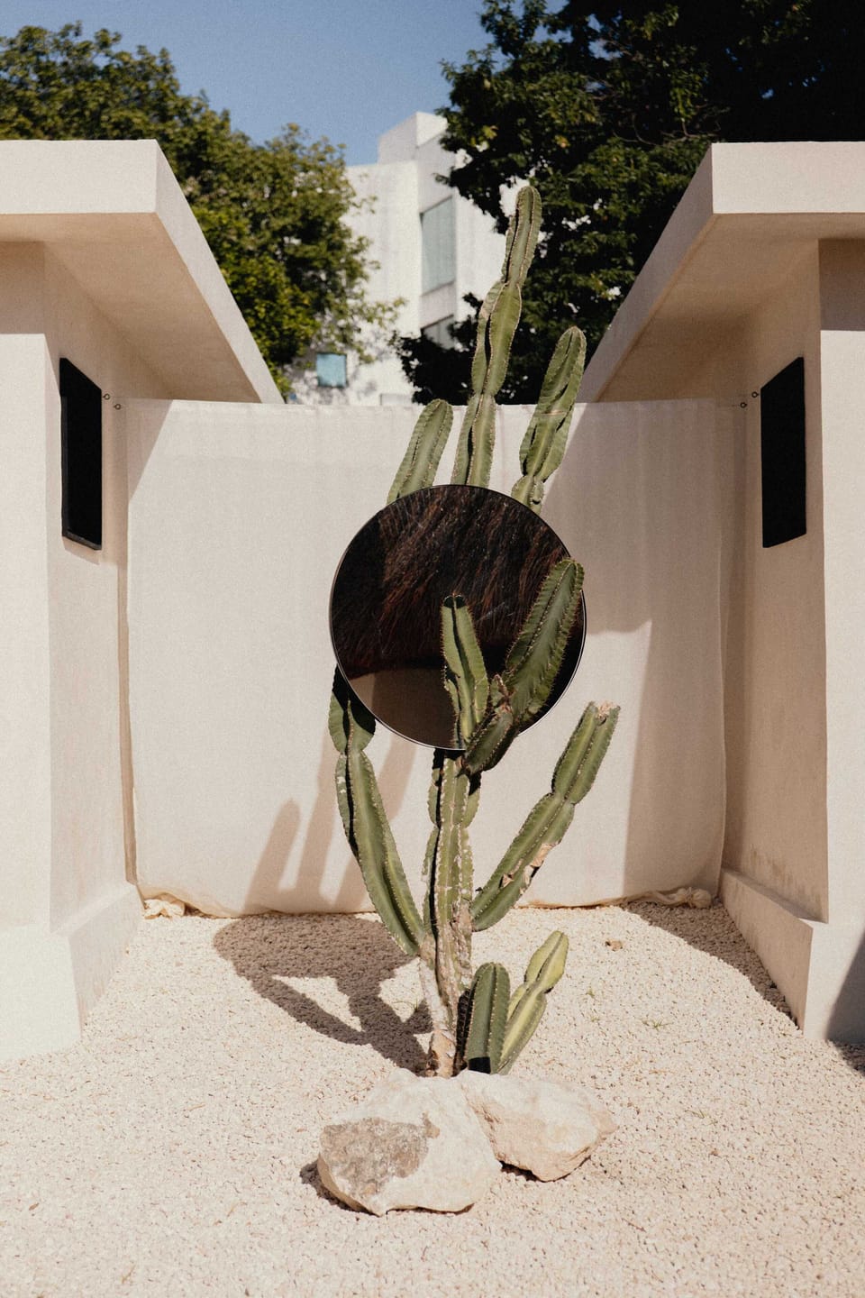 Decoración Exterior