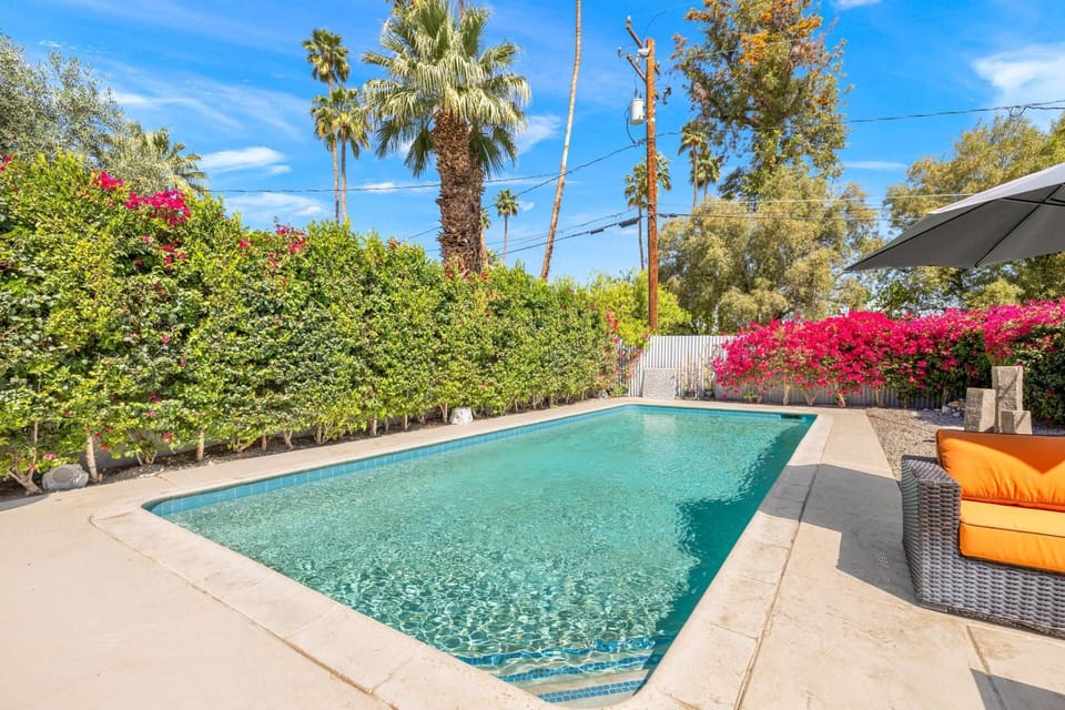 Cool Down in this Sparking Pool