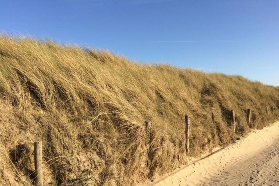Surroundings [summer] (1-5 km)