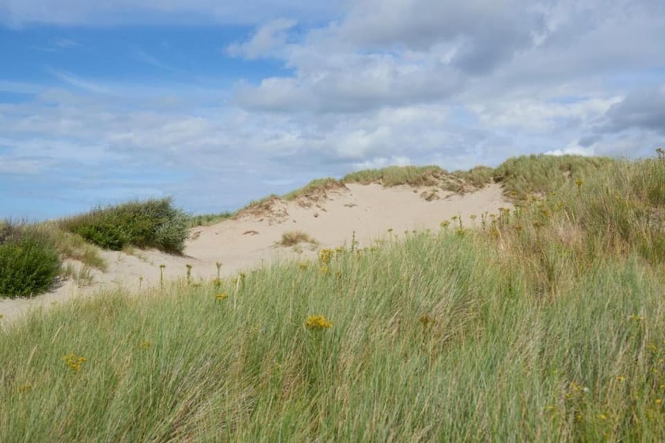 Region [summer] (>5 km)