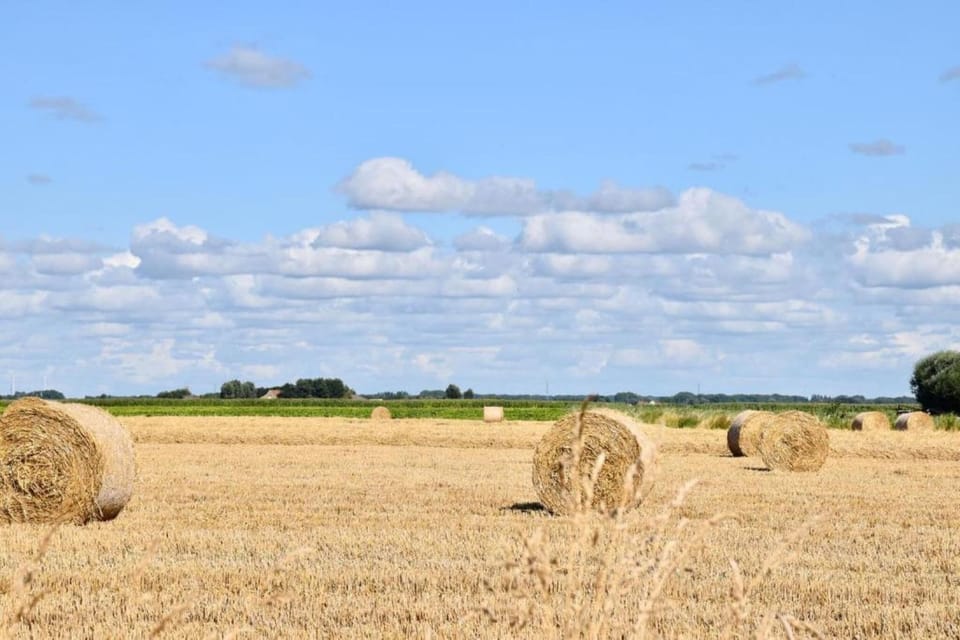 Region [summer] (>5 km)