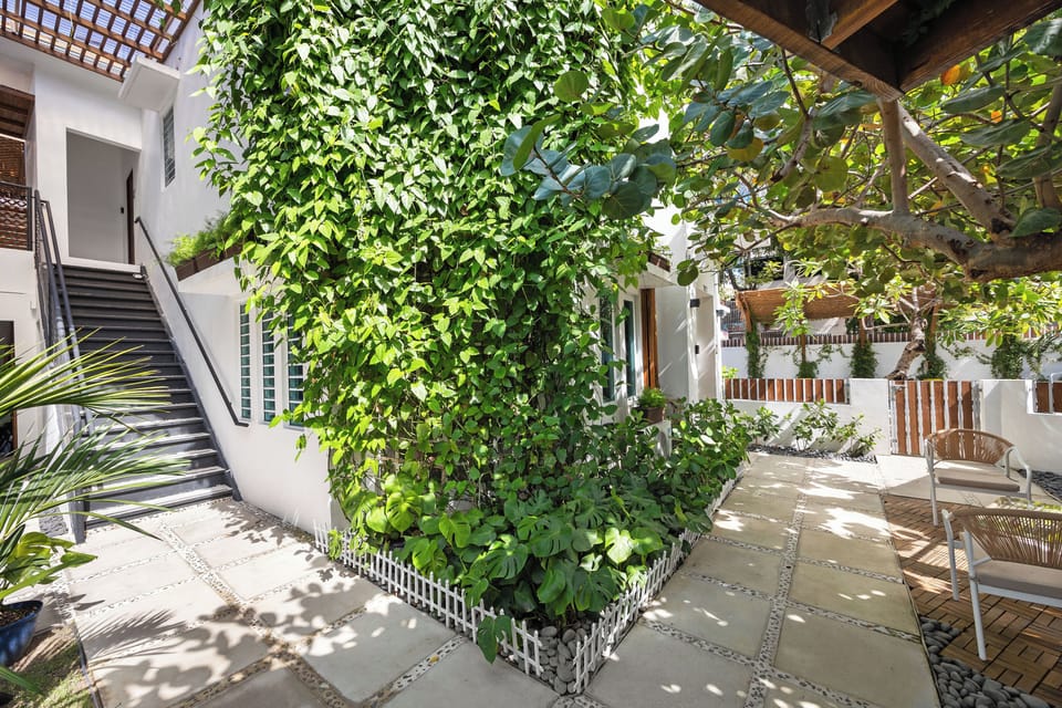 Charming courtyard with plants and lounge chairs. Nestled between the main house and a detached structure, this private outdoor space offers a tranquil escape from the hustle and bustle of daily life.  