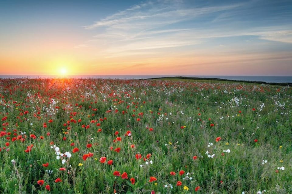 West Pentire headland