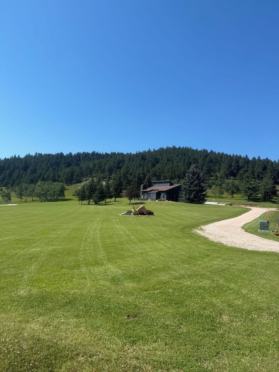 Backyard is Black Hills National Forest