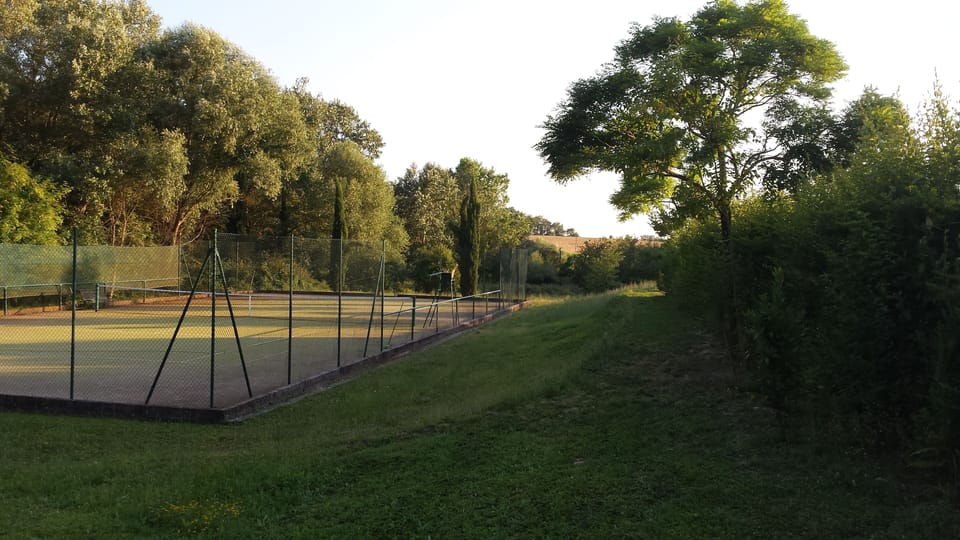Sport court