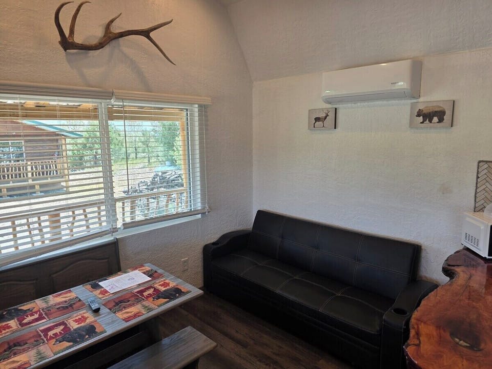 Futon sofa under the mini-split — folds out for extra sleeping.