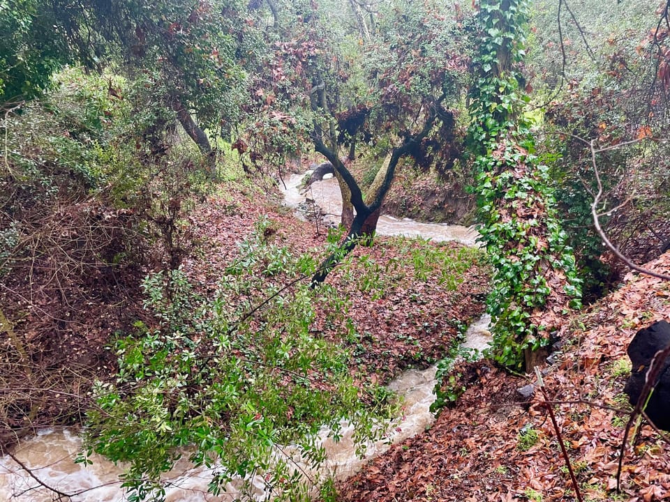 Seasonal creek running after a rainstorm.  During Summer the creek bed is dry.