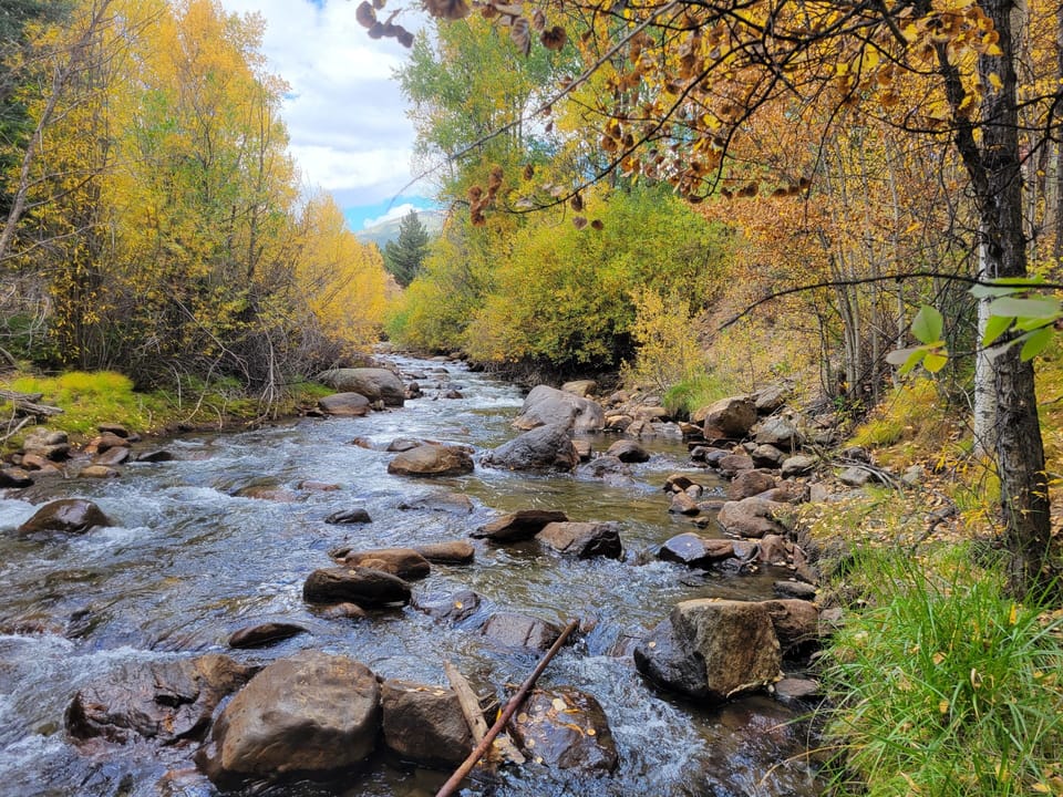 West Fork Creek at the cabin