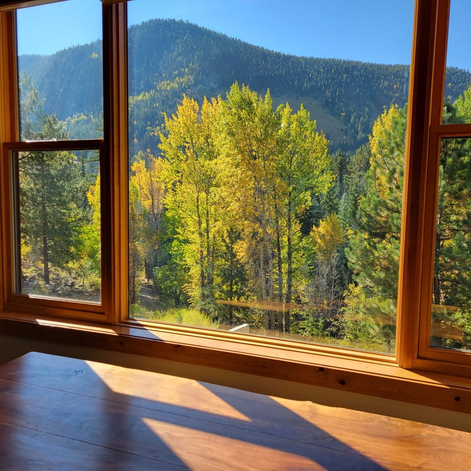 dining room view